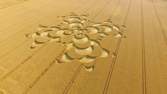 What are crop cicles?