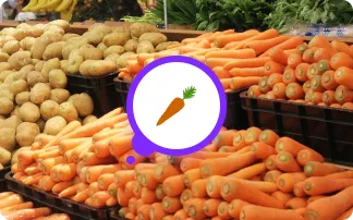 World Food Day 2023