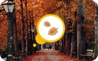 Top 8 Places to See Autumn Foliage Around the World