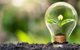 Earth Day 2025: How to Celebrate Earth Day?