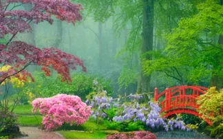 The World’s Most Beautiful Gardens You Need to Visit