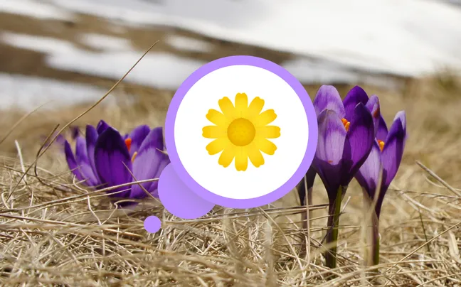 Spring Bucket List: 8 Fun Activities & Things to Do