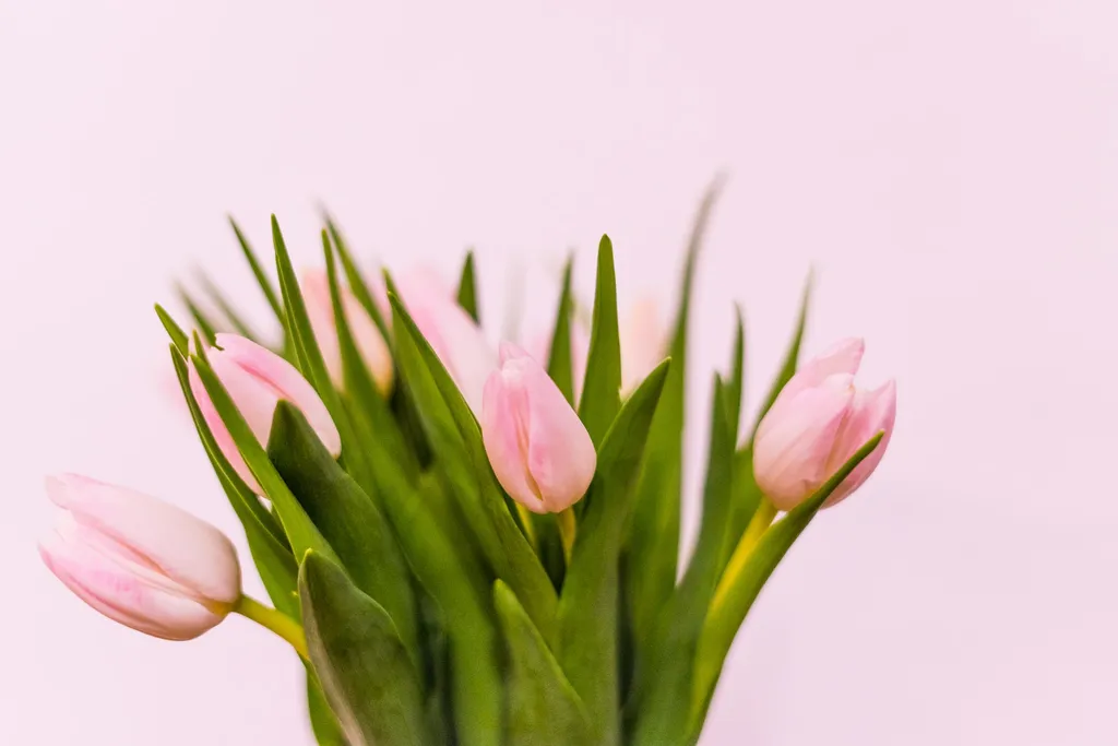 international women's day