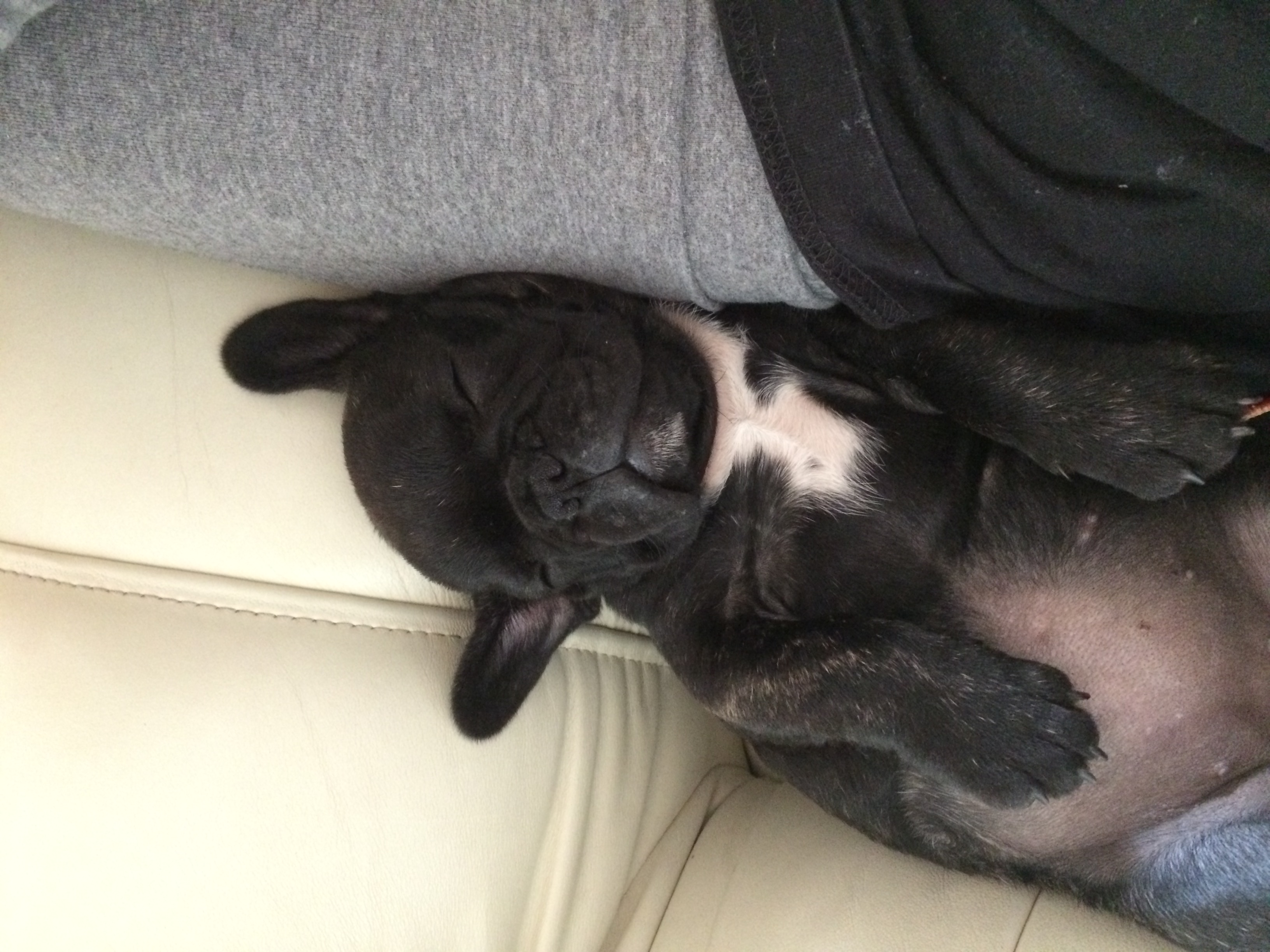 new map but with picture